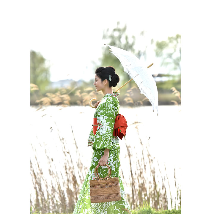萌黄 唐草牡丹
